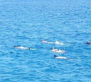 Wir beim Schnorcheln