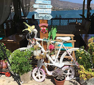 Ausflug nach Elounda