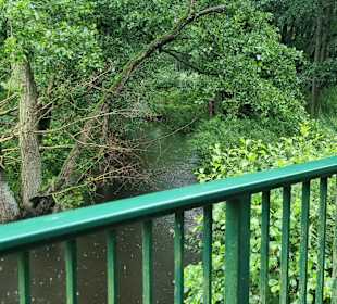 Brücke und Schwinge