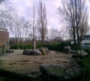 Großzügiges Gehege