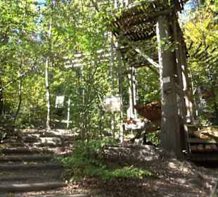 Natur-Hochseilgarten Triberg