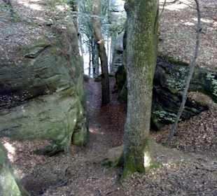 Kleine Luxemburger Schweiz bei Echternach