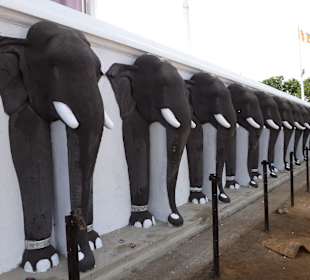 Elefanten an der Ruwanveli Saya Dagoba