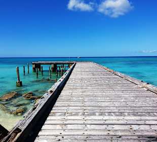 Im Bereich des National Parks