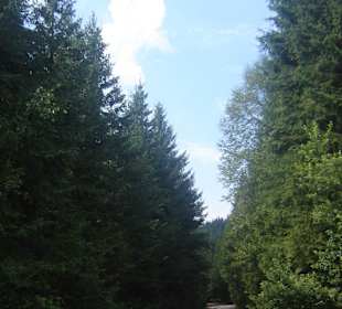 Parcul Natural Apuseni