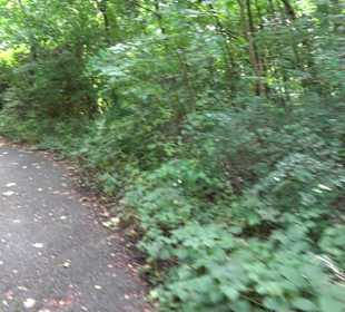 Sophienbrunnen von 1839 