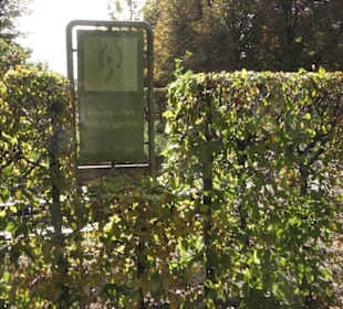 Kräutergarten