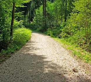 Der Therapeutische Wanderweg