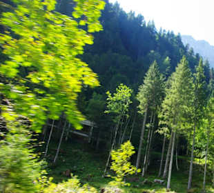 Oben der Streckenverlauf