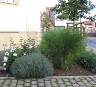 Pflanzrabatte hinter der Dorfkirche