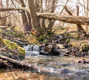 Wandern Oberheimbach
