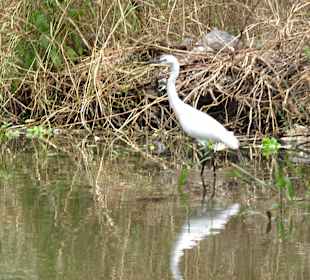 Eine Runde Kahn fahren