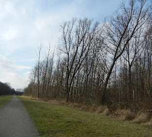 Naturschutzgebiet Boberger Niederung