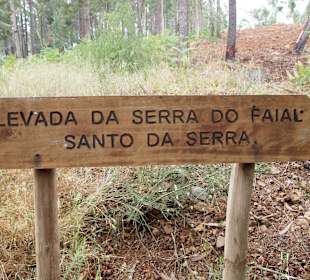 Levada da Serra do Faial