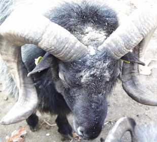 WP LH Herbst Impression