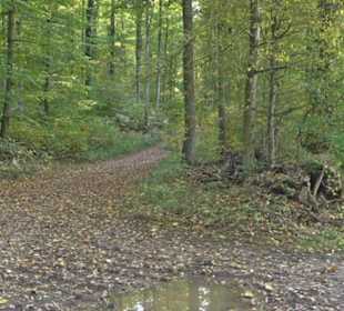 Wanderung Felsen Sankt Johann