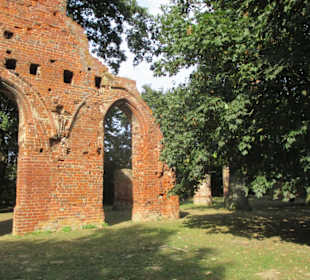 Klosterruine Greifswald