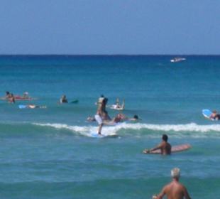 Surfen am Strand von Waikiki