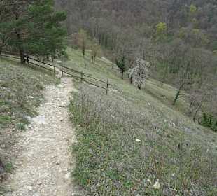 Leudelsbachtal