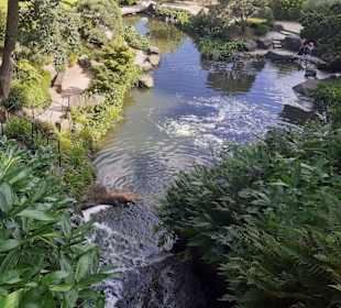 Japanischer Garten in Kaiserslautern