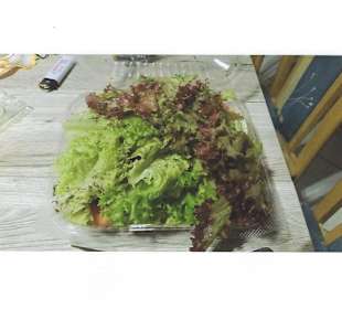 Grüner Salat