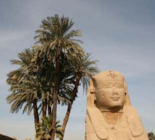 Luxor temple