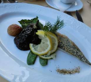 Doradenfilet auf Peronata