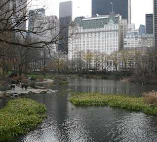 Central Park