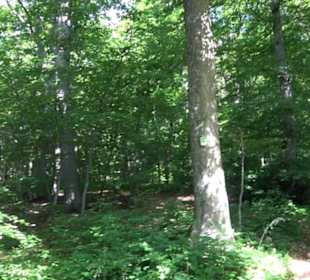 Premiumwanderweg "hochgelegen"