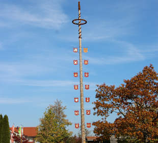 Maibaum aufstellen Viechtach	
