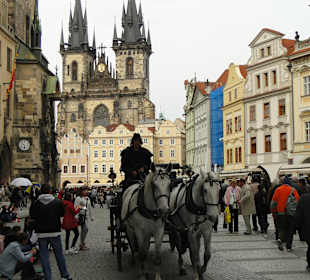 Kutsche vor Teynkirche