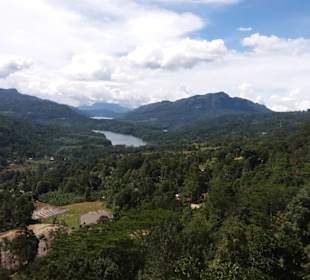 Maskeliya Teeplantage