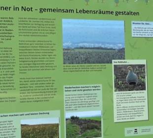 Wanderweg Sieben-Täler-Runde 