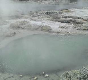 Thermal activity - boiling sulphur water