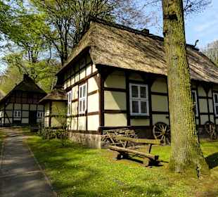 Blick auf die Gebäude des Heidemuseums