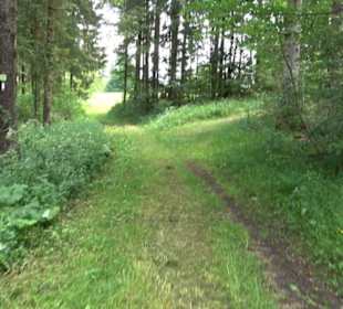 Premiumwanderweg "hochgehackert"