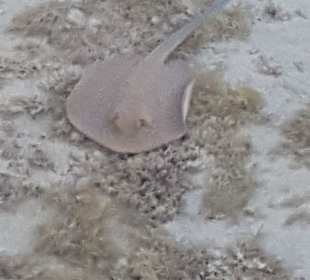 Auf dem Weg zum Riff 