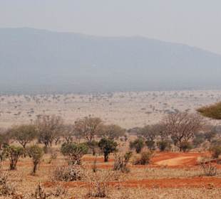 Ausblick über Tsavo Ost