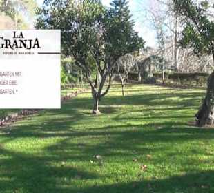 Gartenanlage - Botanischer Garten