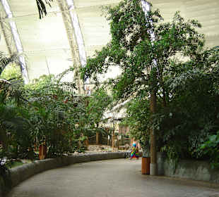 Gang durch den Tropengarten