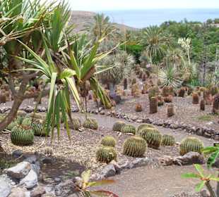 Oasis Park - ein Muss für Naturliebhaber