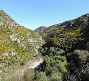 Mitder Taileri Railway durch die Natur Neuseelands