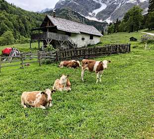Wandern Mühlbach