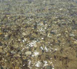 Strand von Bibione 06-2010