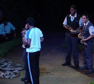 Night Safari - Tiershow