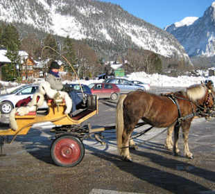 Pferdeschlittenfahrt