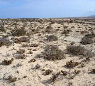 Wanderung zur Westküste