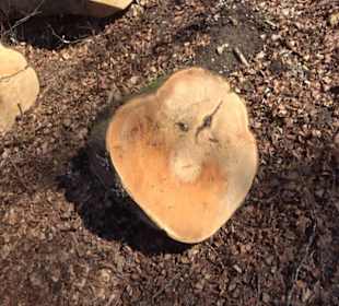 Naturerlebnispfad Meidelstetten