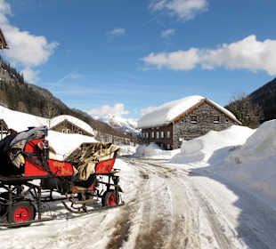 Schlittenfahrt im Allgäu