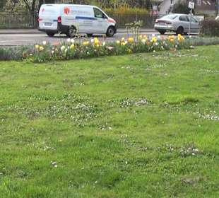 Bürgerpark Offenburg